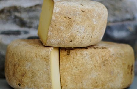 Cider and Cheese