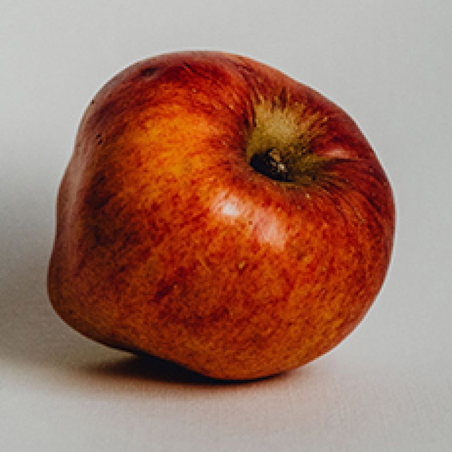 Photo of a Herring's Pippin apple variety; ©2014, Amelia Claudia Photography