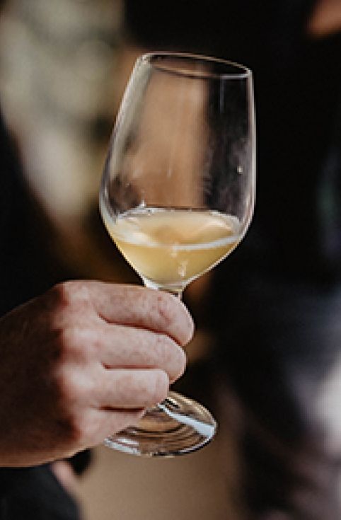 Introduction to Cider Varietals