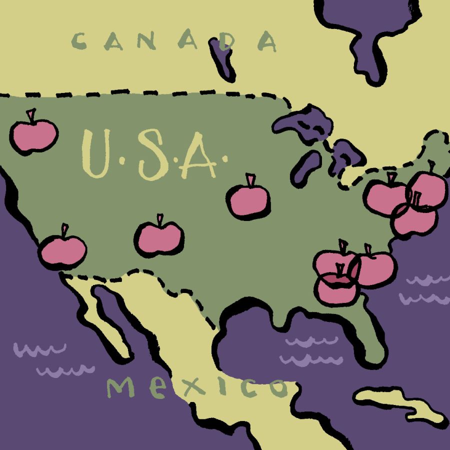 Illustration of a map North American with apples in certain regions of the U.S. The countries are in green and the sea is in purple. © 2025, Christine Jopling Illustrations