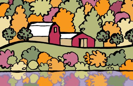 American Heirloom Cider Apples Part Three