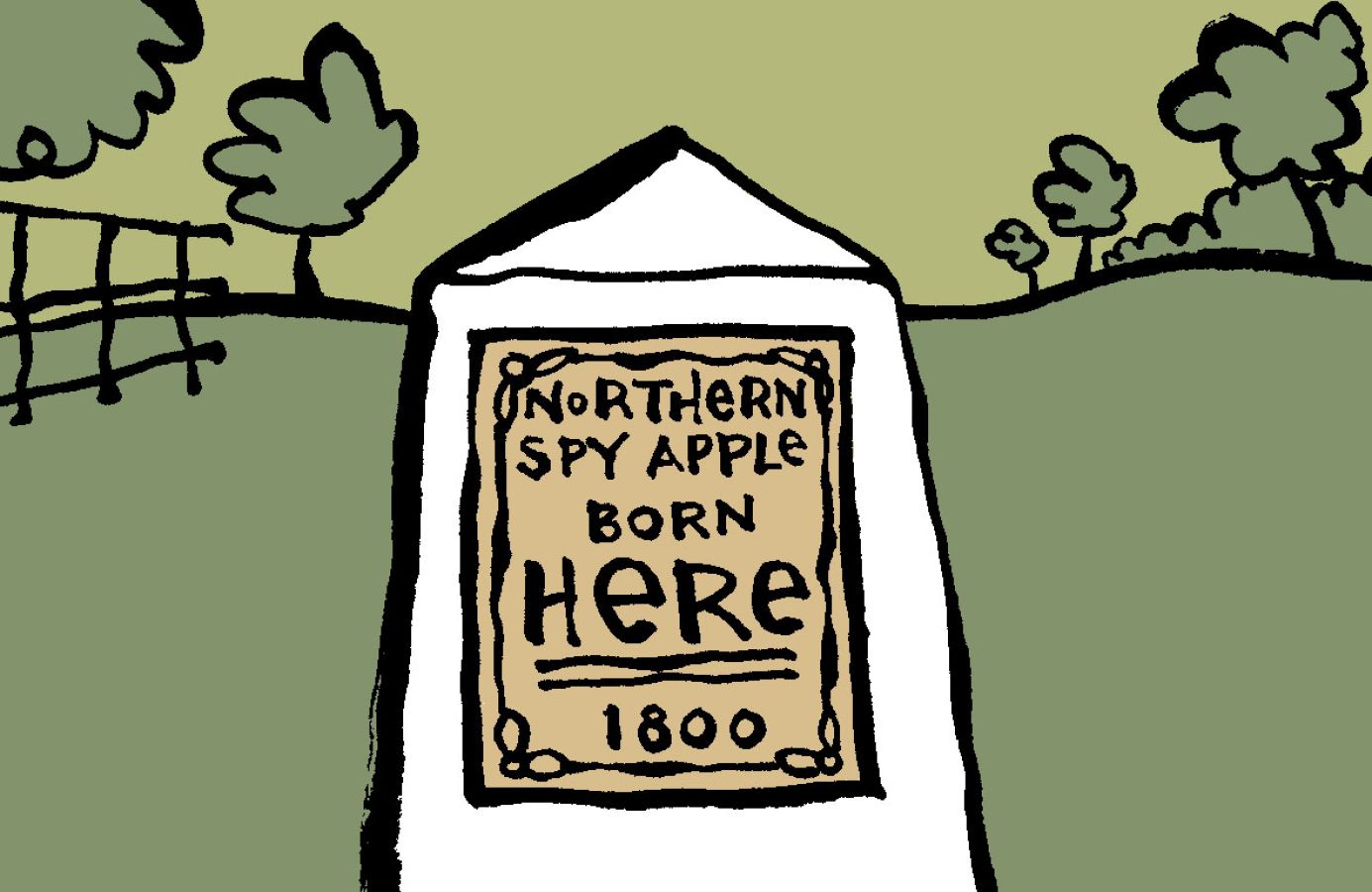 Illustration of a green field with a plaque on a stone with the writing, 'Northern Spy Apple Born here 1800' © 2025, Christine Jopling Illustrations
