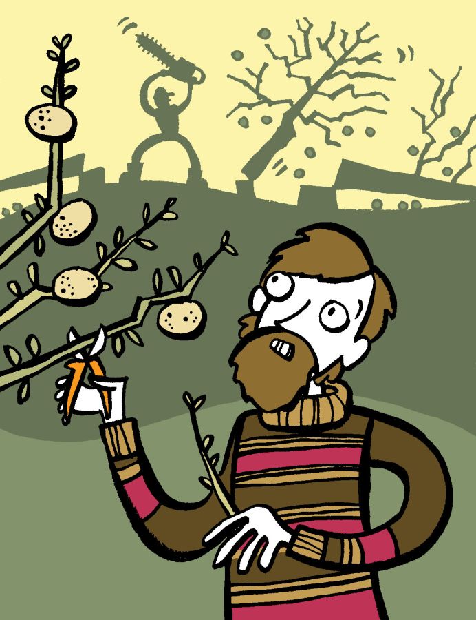 Illustration of Paul Gidez cutting of a branch to retrieve a Harrison apple. In the background there is showdown of a man with a chainsaw chopping down apple trees © 2025, Christine Jopling Illustrations