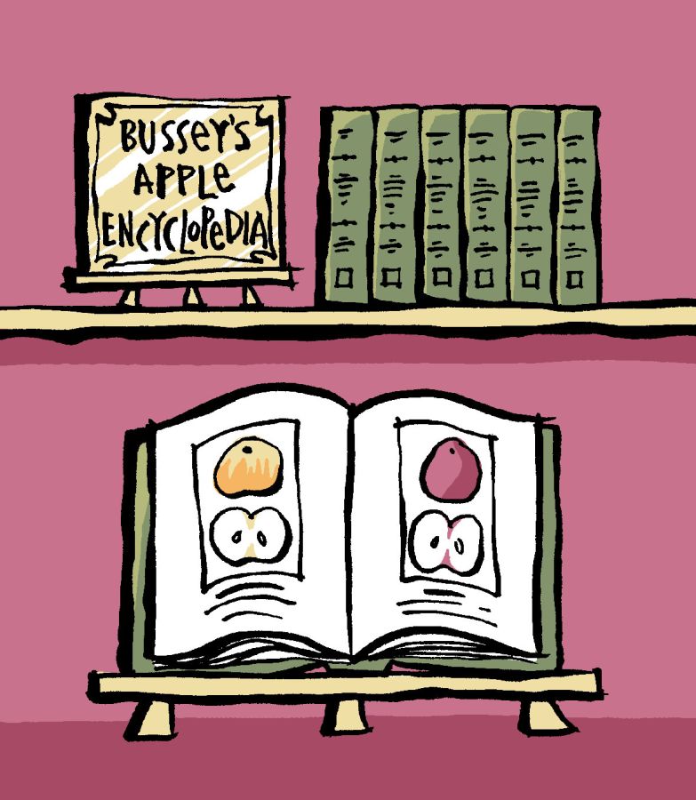 Illustration of an encyclopedia with apples as the main images and a book shelf with green books. 'Bussey's Apple Encyclopedia' is written on a gold certificate style banner on the top shelf. Illustration by Christine Jopling ©