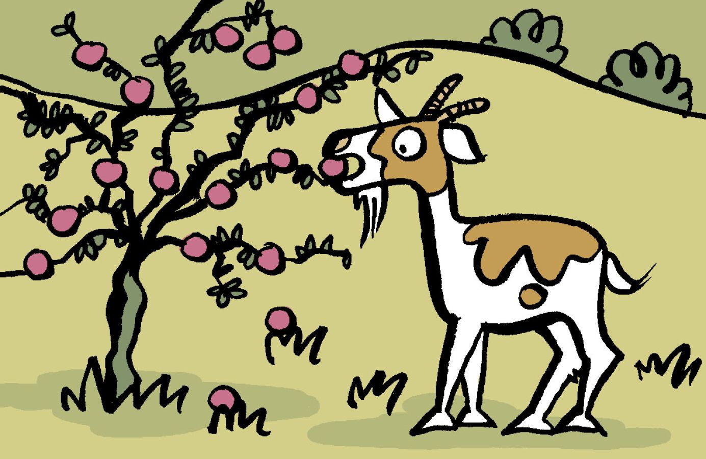 Illustration of a goat eating apples that are pink off of a tree. The image features bushes and grass which is coloured green. Illustration by Christine Jopling ©
