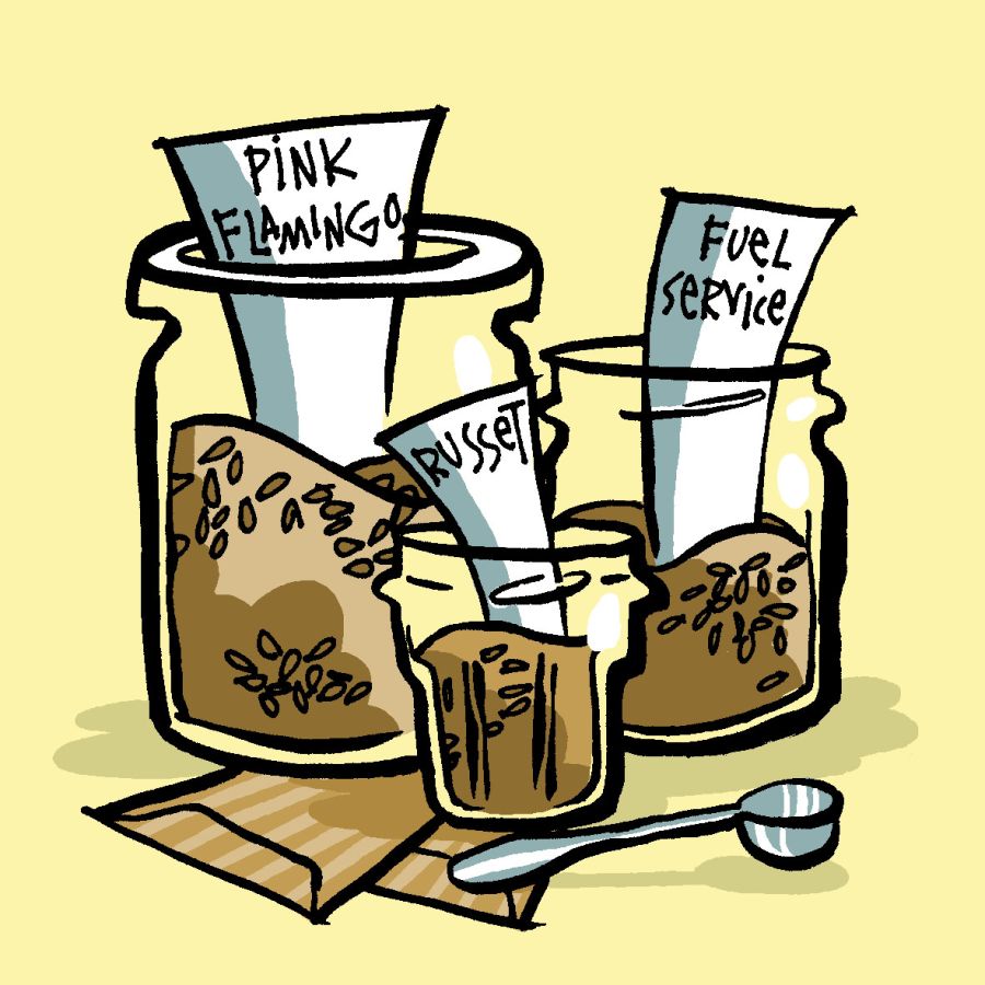 Illustration of three different glass jars with hops inside of them. All of which have white labels inside them signifying what is inside, they are: Pink Flamingo, Russet and Fuel Service, a silver spoon is in front of them. Illustration by Christine Jopling ©
