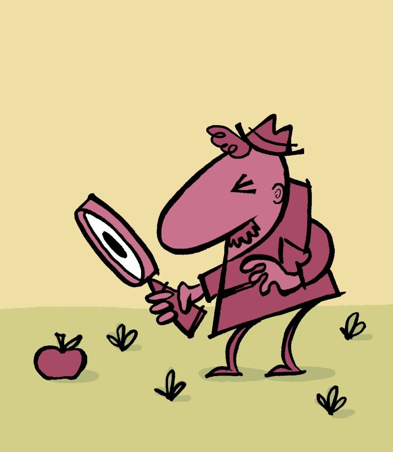 Illustration of an apple detective who is painted in dark red and pink with a magnifying glass looking at a lone apple sitting on a green field of grass. Illustration by Christine Jopling ©