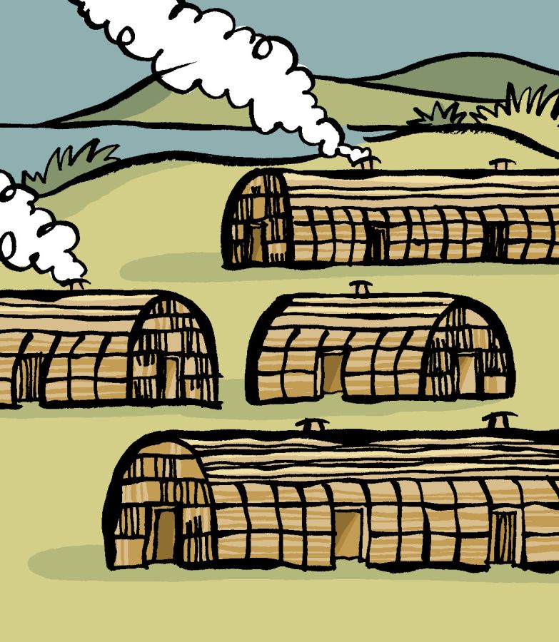Illustration of different longhouses with smoke coming out of the top of them. They are coloured in brown and are sitting on a field of green grass. Illustration by Christine Jopling ©