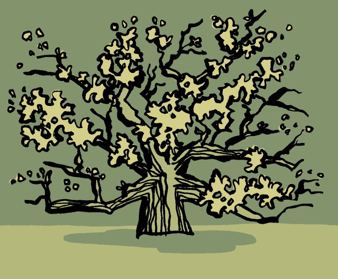 Illustration of a tree with a green background. Illustration by Christine Jopling ©
