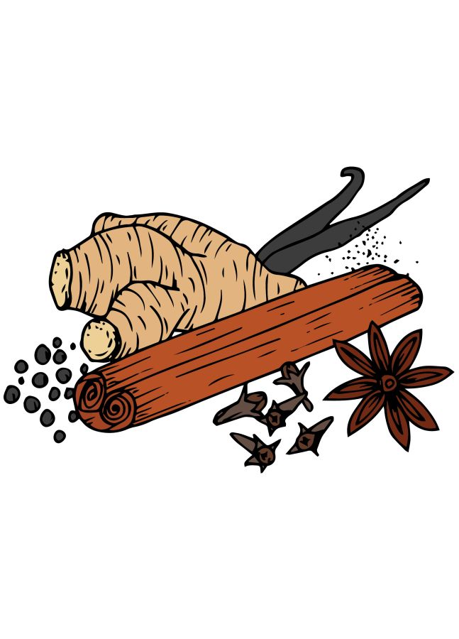 Drawing of a bunch of spices such as, cinnamon, cloves and nutmeg © 2021, Lucie Cooke Illustrations
