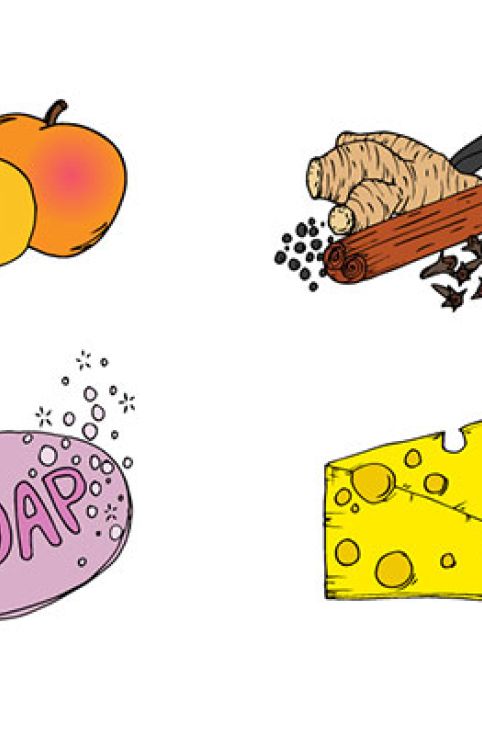 Drawing of a spices such as; cinnamon and cloves, a stoned fruit, a bar of pink soap, and a triangle of cheese © 2021, Lucie Cooke Illustrations