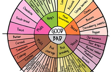 Introduction to Beer Faults