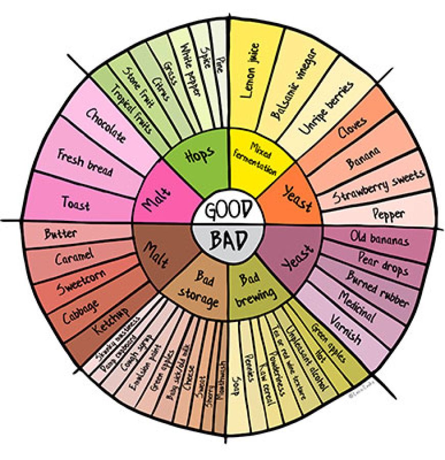 Illustrated beer faults flavour wheel © 2021, Lucie Cooke Illustrations