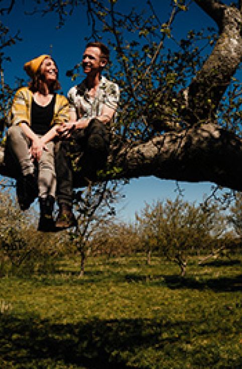 Couple sitting on a branch, Blue Barrel Cider, Nottingham; ©2021, Blue Barrel Cider