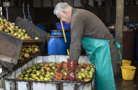 How cider is made: II