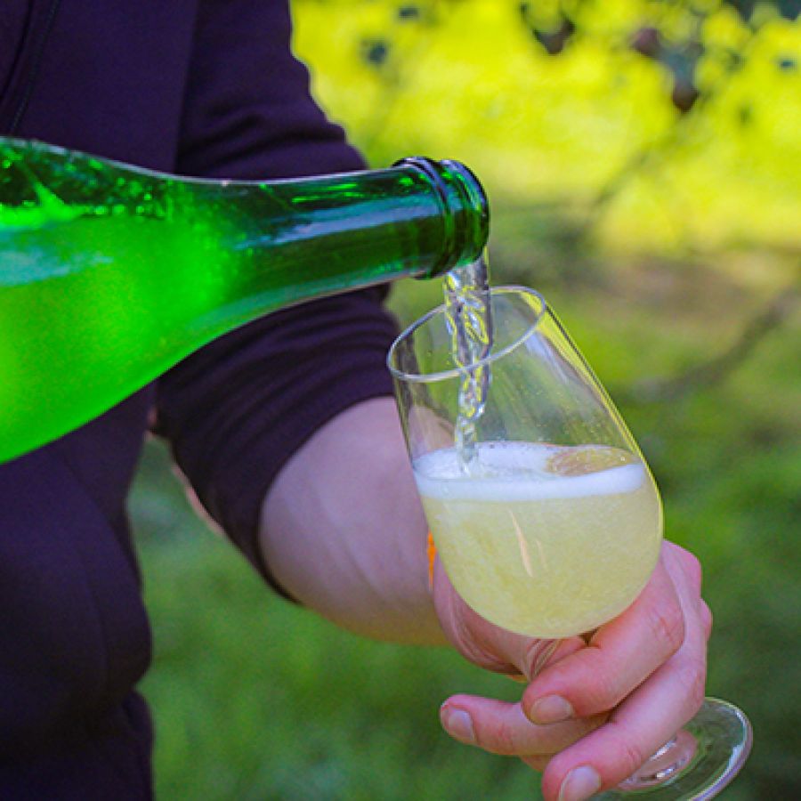 Photo of someone pouring perry from a bottle into a glass