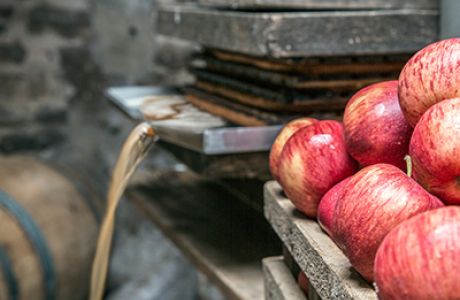 Bringing Cider to the Table Pt. 3