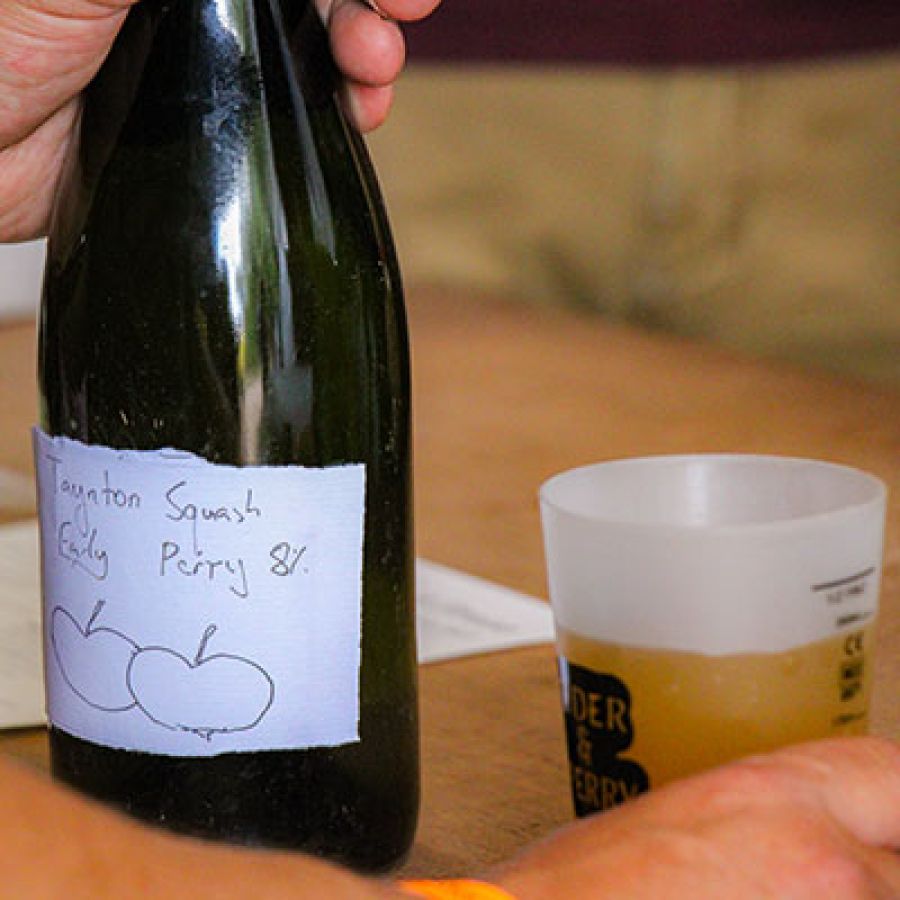 Photo of Taynton Squash Early Perry, next to a small plastic glass
