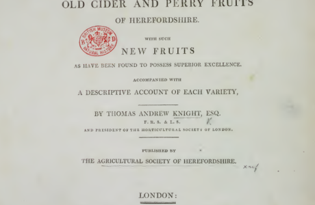 Cider varietals Pt.2