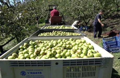 World of Cider: Basque Country
