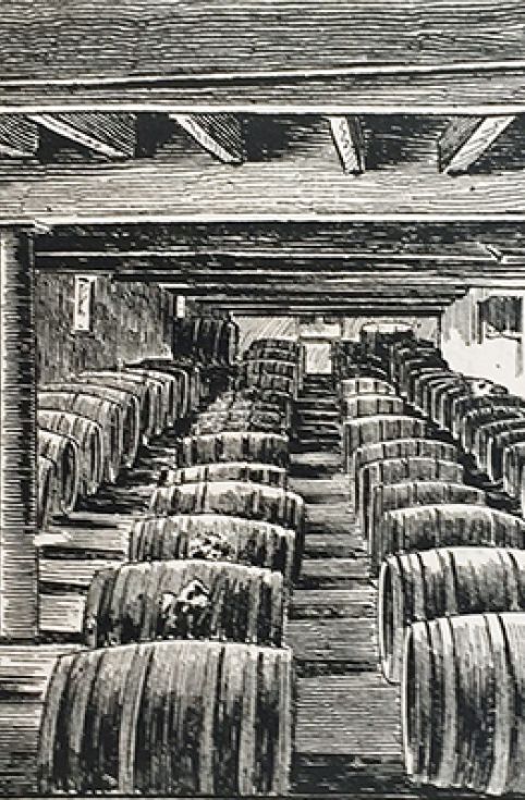 Drawing of barrels in a cellar, featured in 'The Noted Breweries of Great Britain and Ireland'; ©1889, Alfred Barnard, published by J.Causton & Sons, London
