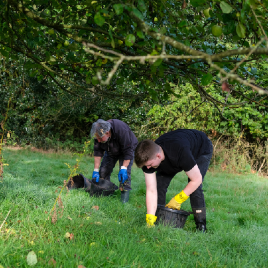 Two volunteers are picking apples from the grass into two black buckets. One wears yellow gloves while the other wears blue gloves. They are underneath long tree branches and wearing black boots © Rebecca Fletcher Photography
