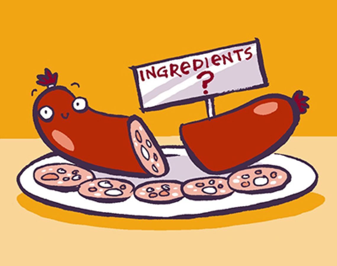 Illustrated drawing of an animated, anthropormorphic sausage diced up. With a sign in it labelled "Ingredients?". © 2024, Christine Jopling.