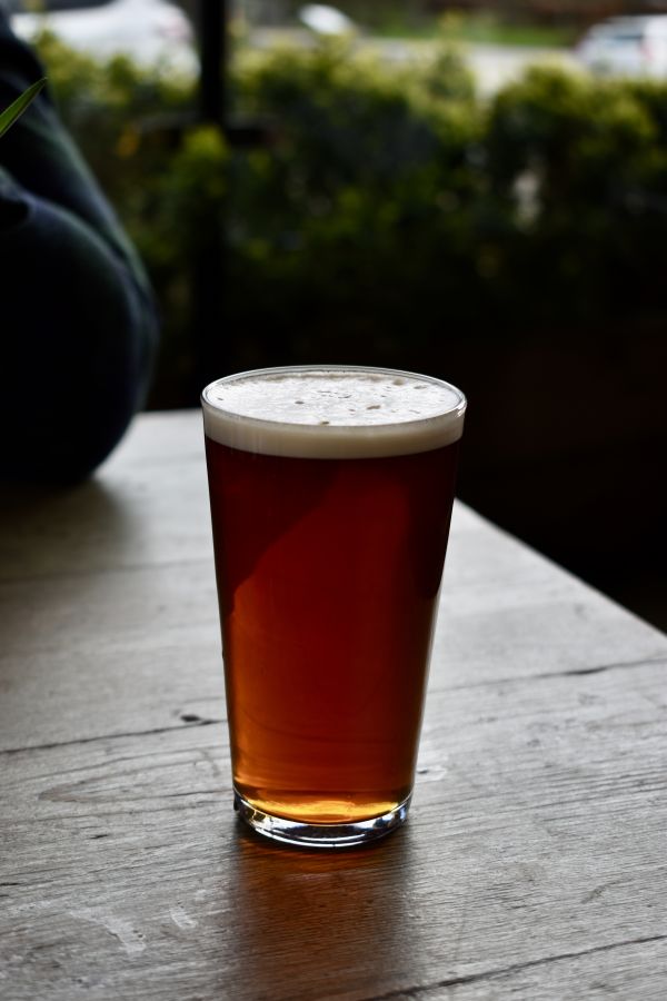 Photo of a bitter beer. Taken by Hollie Stephens