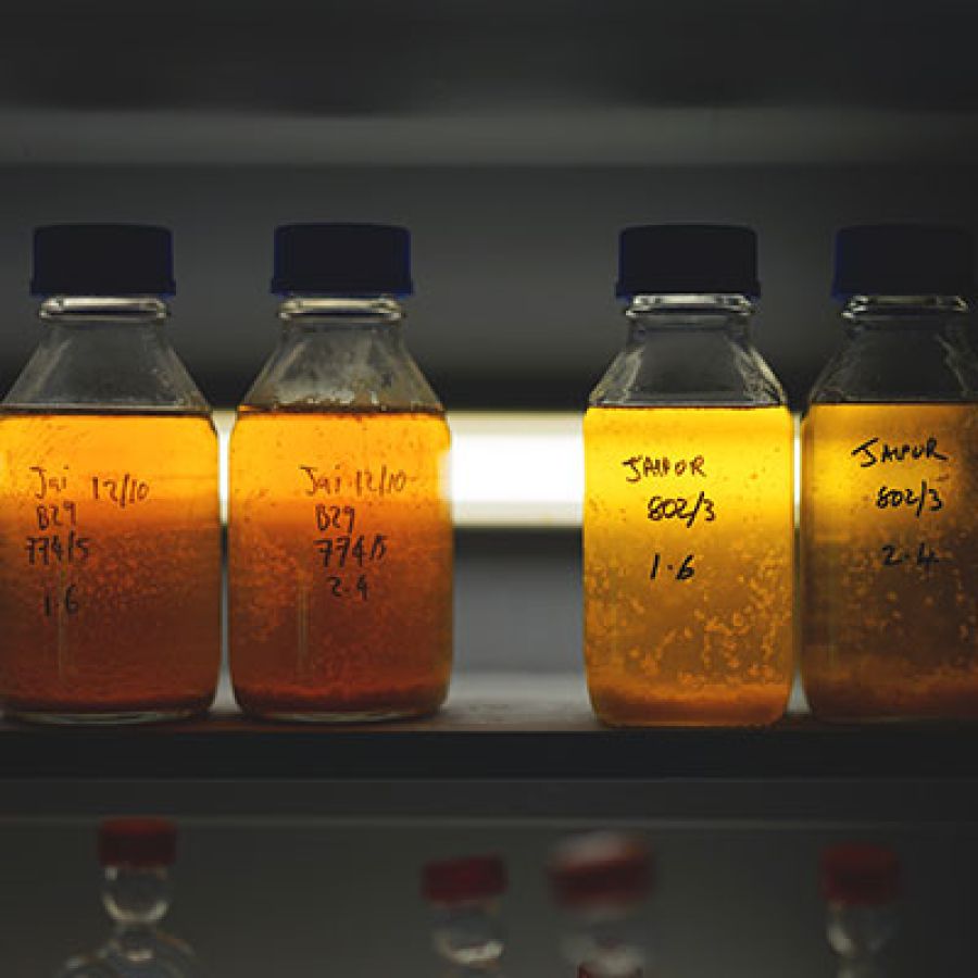 Photo of a selection of Finings in jars; ©2021, Matthew Curtis Photography