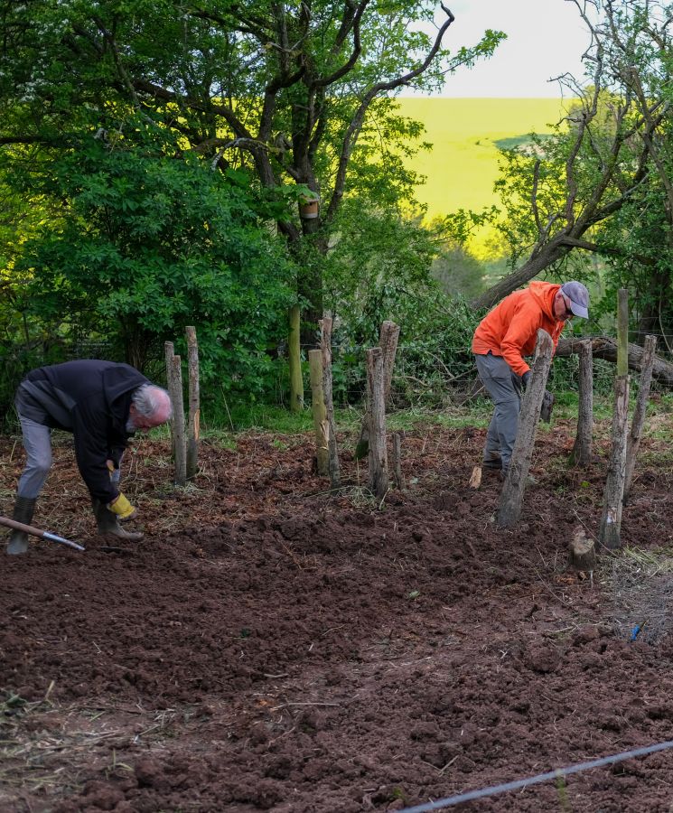 Three men are planting nursery trees with 14 already poking out the soil. There are several trees in the background as well as a vibrant yellow field further back © Rebecca Fletcher Photography