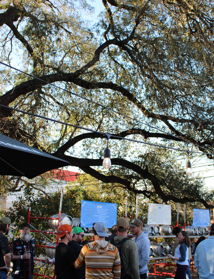 Photo of people drinking beer at Pinvitational under a branches of a large tree © 2024, Justin Brummer