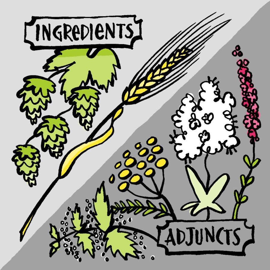 An illustration of hops, barley and tea leaves. The grey background is split from the top right corner to the bottom left corner with one side lighter than the other. Green hops and yellow barley is on the light grey triangle with black text at the top that says ingredients. Adjuncts is written on the dark grey triangle with ingredients in green, yellow, white and pink © Christine Jopling.