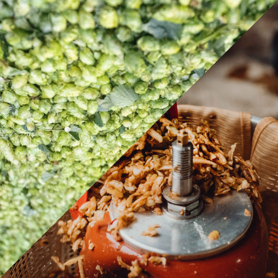 Hops and apples being pulped. Photo by masters masters.co and Bill Bradshaw