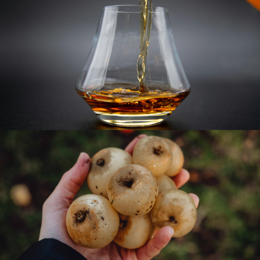 Rum being poured into a tumblers and a hand holding apples. Bottom photo by masters masters.co