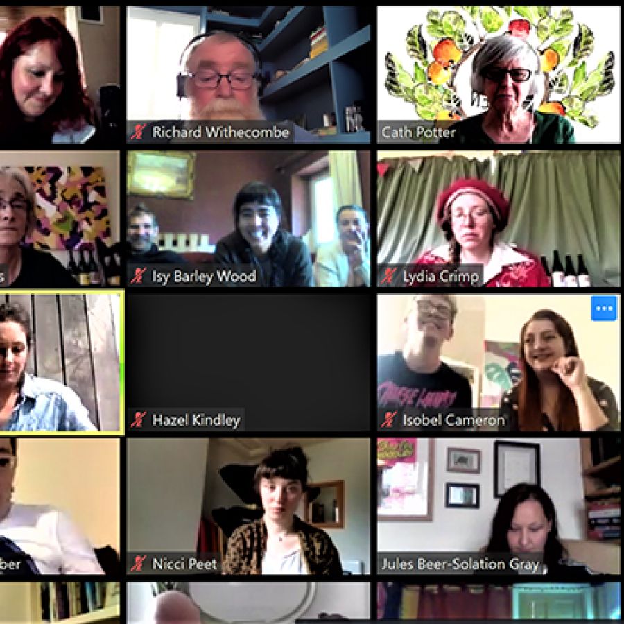 An online meeting of Cider Woman.